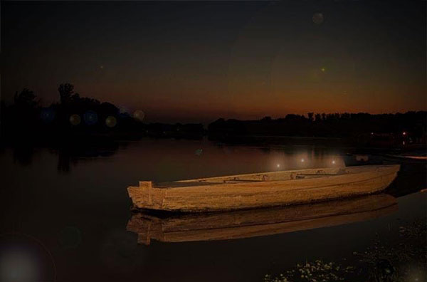 cvetace tise hotel tiski cvet 002